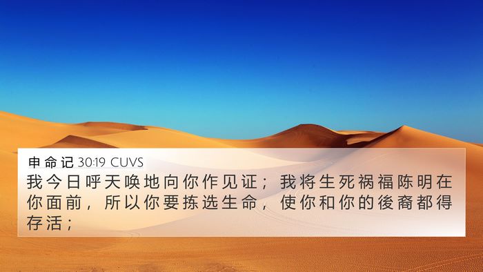 申 命 记 30:19 CUVS Bible Verse Image