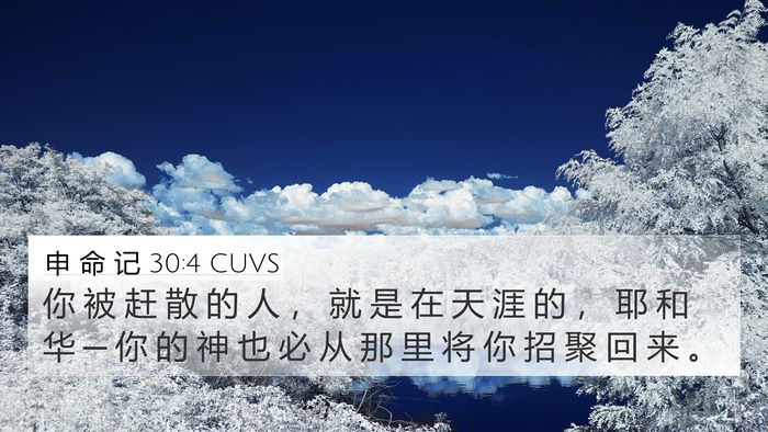 申 命 记 30:4 CUVS Bible Verse Image