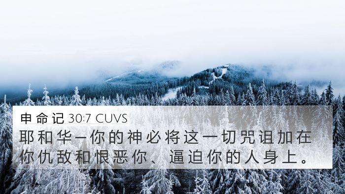 申 命 记 30:7 CUVS 4K Wallpaper - 耶 和 华 ─ 你 的 神 必 将 这 一 切 - 4K Wallpaper Bible Verse