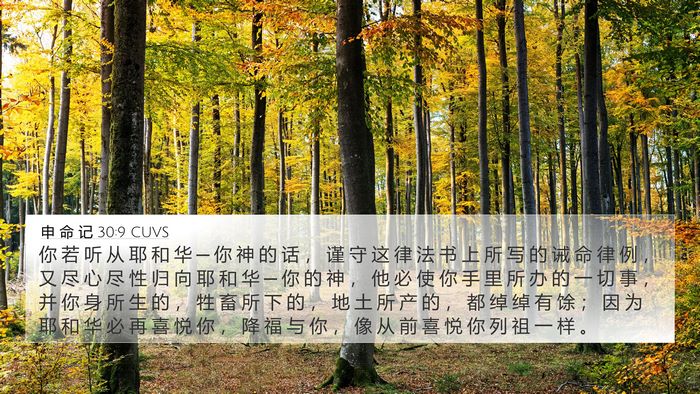 申 命 记 30:9 CUVS Bible Verse Image