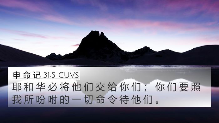 申 命 记 31:5 CUVS 4K Wallpaper - 耶 和 华 必 将 他 们 交 给 你 们 ； - 4K Wallpaper Bible Verse