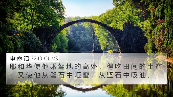 申 命 记 32:13 CUVS Bible Verse Image