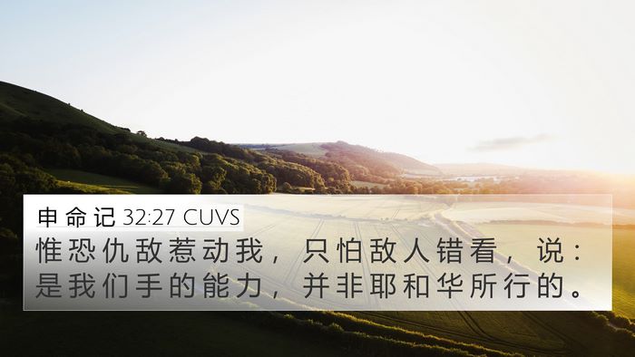 申 命 记 32:27 CUVS Bible Verse Image