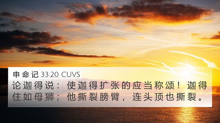 申 命 记 33:20 CUVS Bible Verse Image