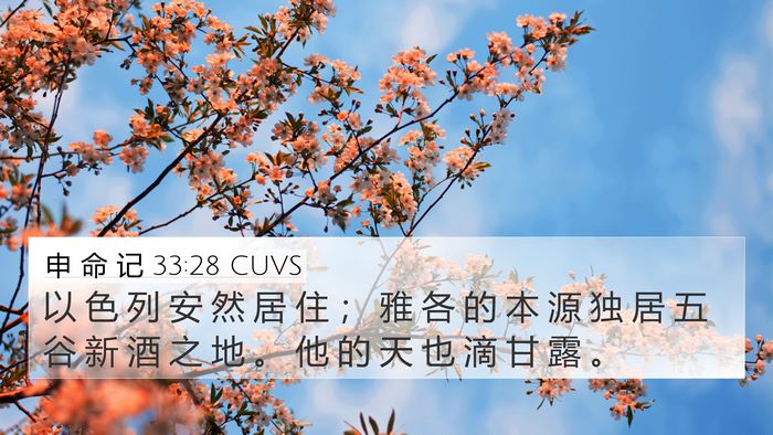 申 命 记 33:28 CUVS Bible Verse Image