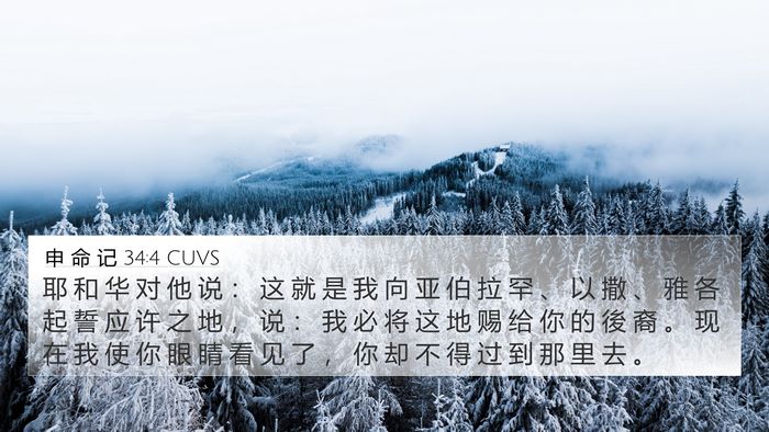 申 命 记 34:4 CUVS Bible Verse Image