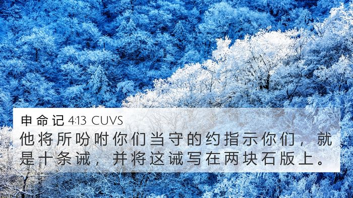 申 命 记 4:13 CUVS 4K Wallpaper - 他 将 所 吩 咐 你 们 当 守 的 约 指 - 4K Wallpaper Bible Verse