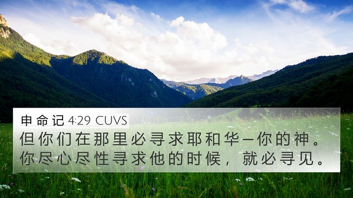 申 命 记 4:29 CUVS Bible Verse Image