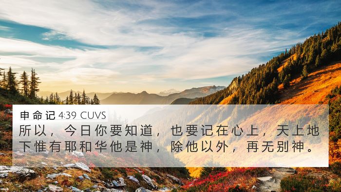 申 命 记 4:39 CUVS Bible Verse Image