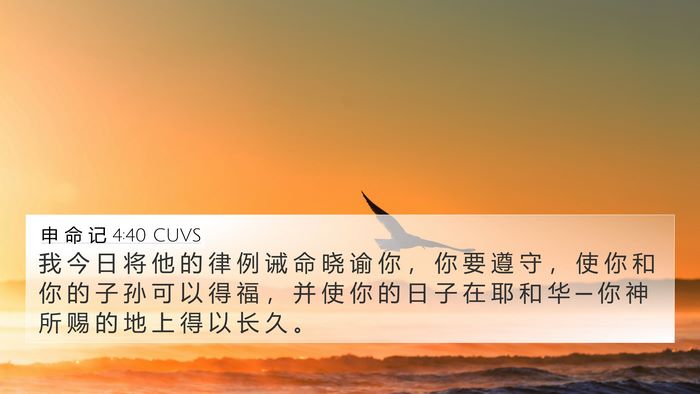 申 命 记 4:40 CUVS Bible Verse Image