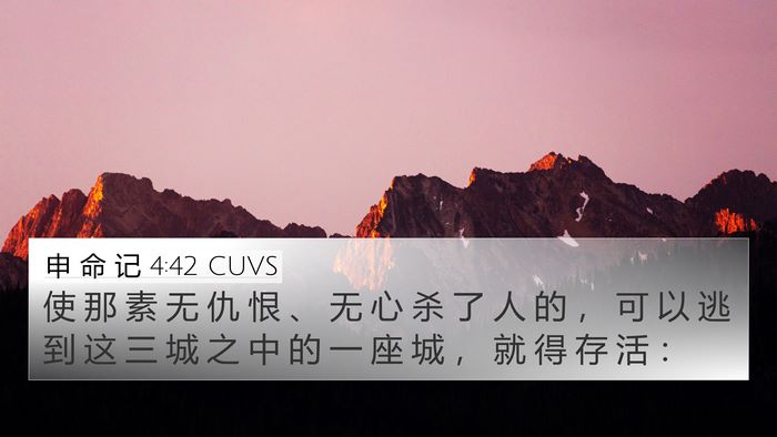 申 命 记 4:42 CUVS Bible Verse Image