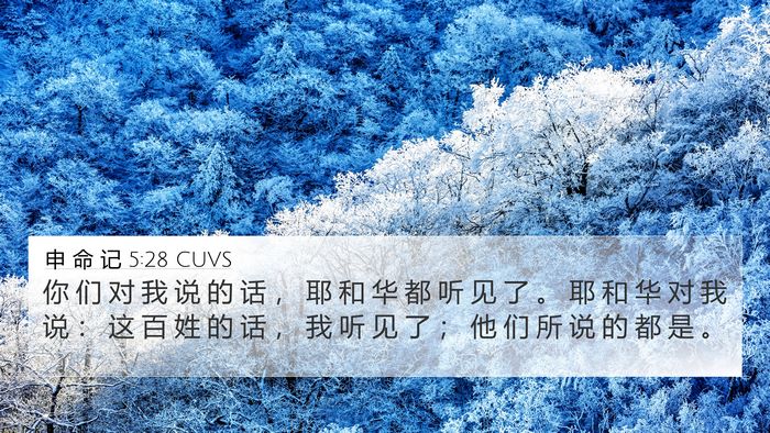 申 命 记 5:28 CUVS Bible Verse Image