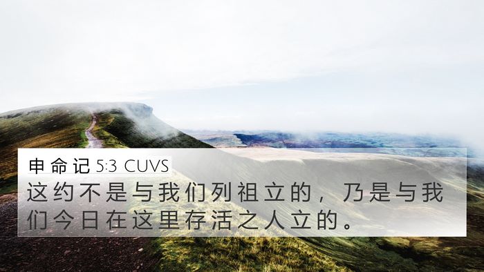 申 命 记 5:3 CUVS 4K Wallpaper - 这 约 不 是 与 我 们 列 祖 立 的 ， - 4K Wallpaper Bible Verse