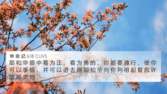 申 命 记 6:18 CUVS Bible Verse Image