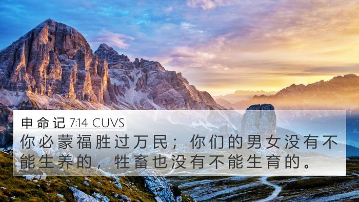 申 命 记 7:14 CUVS 4K Wallpaper - 你 必 蒙 福 胜 过 万 民 ； 你 们 的 - 4K Wallpaper Bible Verse