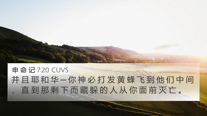 申 命 记 7:20 CUVS Bible Verse Image