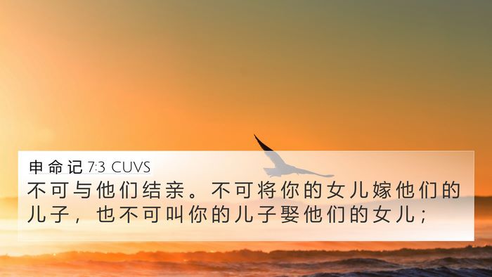 申 命 记 7:3 CUVS 4K Wallpaper - 不 可 与 他 们 结 亲 。 不 可 将 你 - 4K Wallpaper Bible Verse