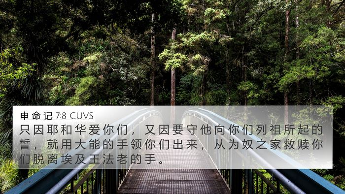 申 命 记 7:8 CUVS 4K Wallpaper - 只 因 耶 和 华 爱 你 们 ， 又 因 要 - 4K Wallpaper Bible Verse