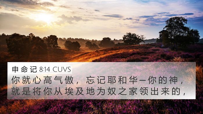 申 命 记 8:14 CUVS Bible Verse Image