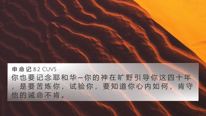 申 命 记 8:2 CUVS Bible Verse Image