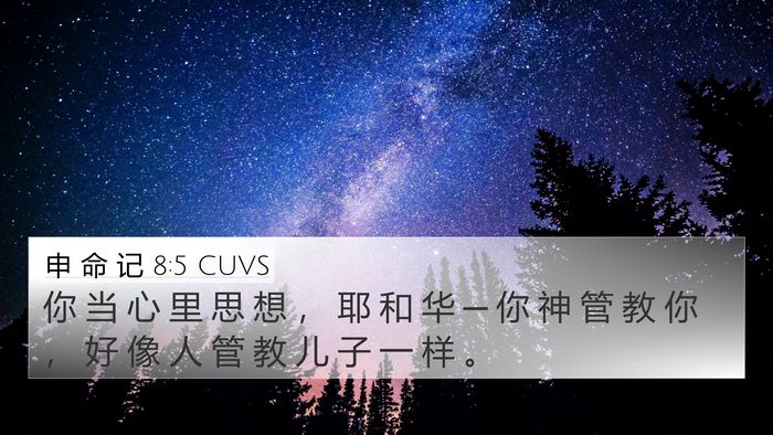 申 命 记 8:5 CUVS Bible Verse Image
