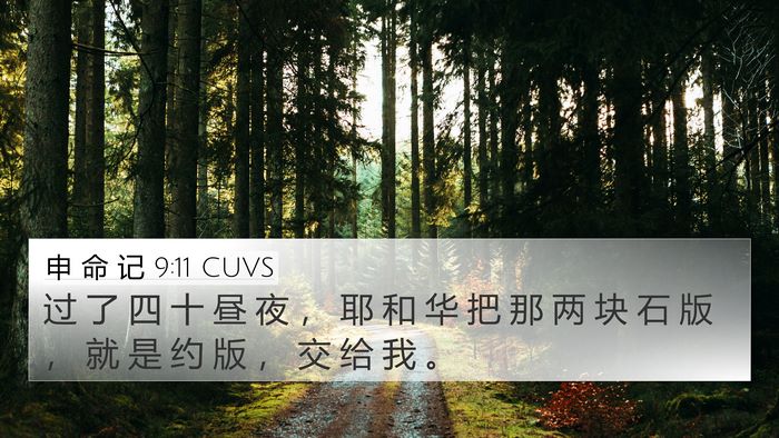 申 命 记 9:11 CUVS 4K Wallpaper - 过 了 四 十 昼 夜 ， 耶 和 华 把 那 - 4K Wallpaper Bible Verse