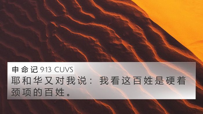 申 命 记 9:13 CUVS Bible Verse Image