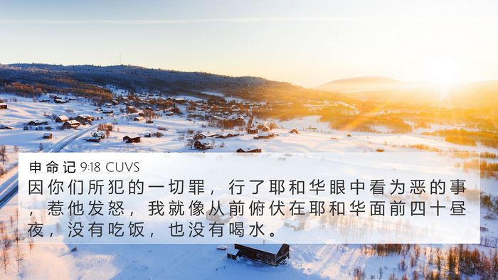 申 命 记 9:18 CUVS Bible Verse Image