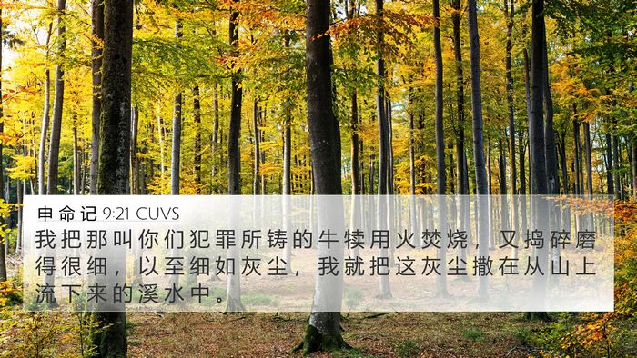 申 命 记 9:21 CUVS Bible Verse Image