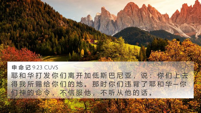 申 命 记 9:23 CUVS Bible Verse Image