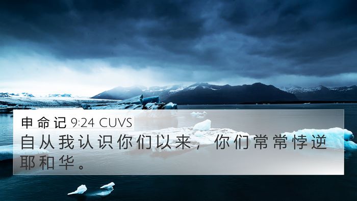 申 命 记 9:24 CUVS Bible Verse Image