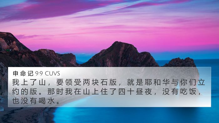 申 命 记 9:9 CUVS Bible Verse Image