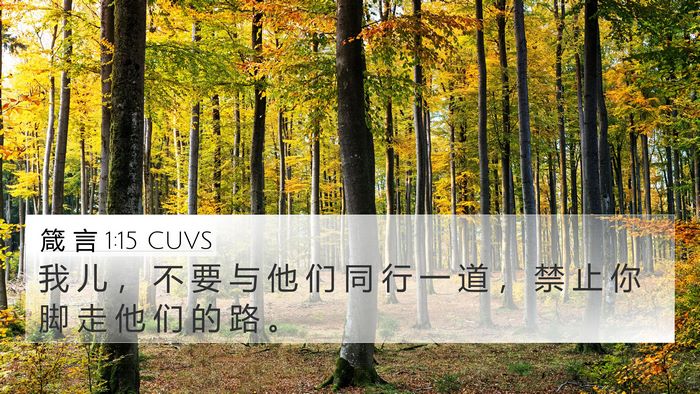 箴 言 1:15 CUVS Bible Verse Image