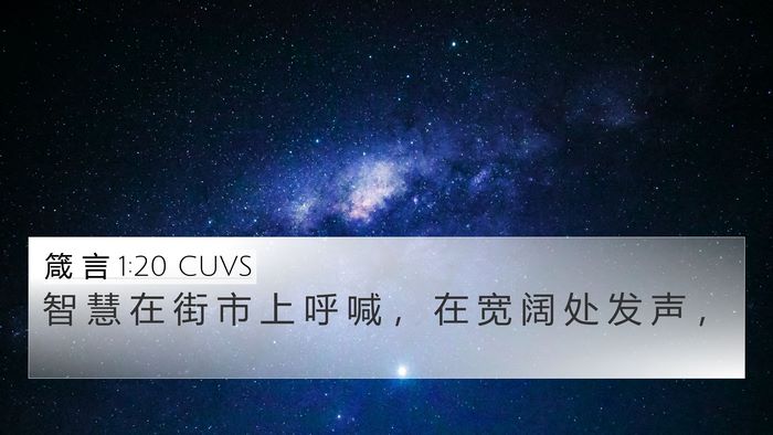 箴 言 1:20 CUVS Bible Verse Image