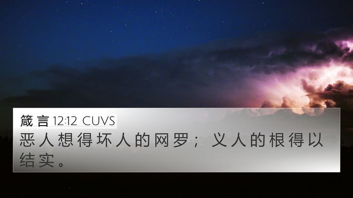 箴 言 12:12 CUVS Bible Verse Image
