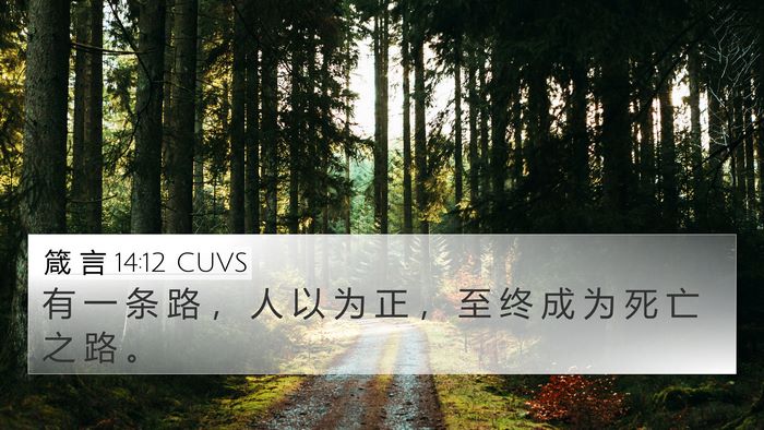箴 言 14:12 CUVS Bible Verse Image
