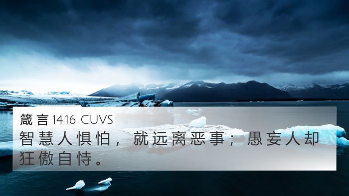 箴 言 14:16 CUVS Bible Verse Image