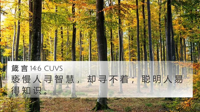 箴 言 14:6 CUVS Bible Verse Image