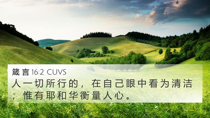 箴 言 16:2 CUVS Bible Verse Image