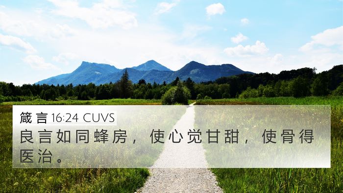 箴 言 16:24 CUVS Bible Verse Image