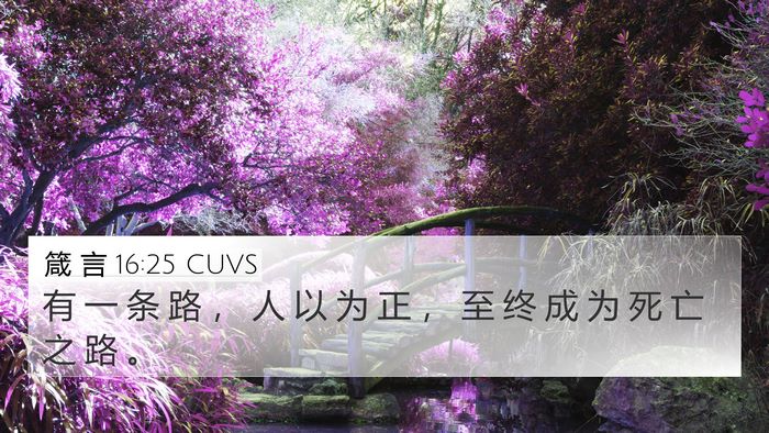 箴 言 16:25 CUVS Bible Verse Image
