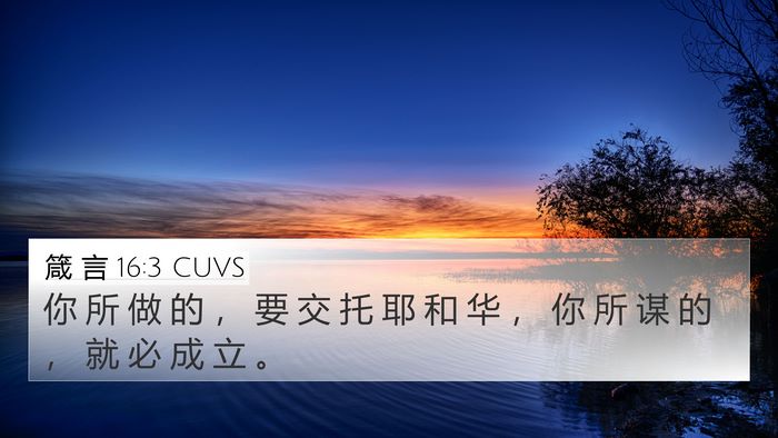 箴 言 16:3 CUVS Bible Verse Image