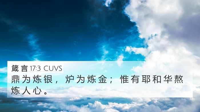 箴 言 17:3 CUVS Bible Verse Image