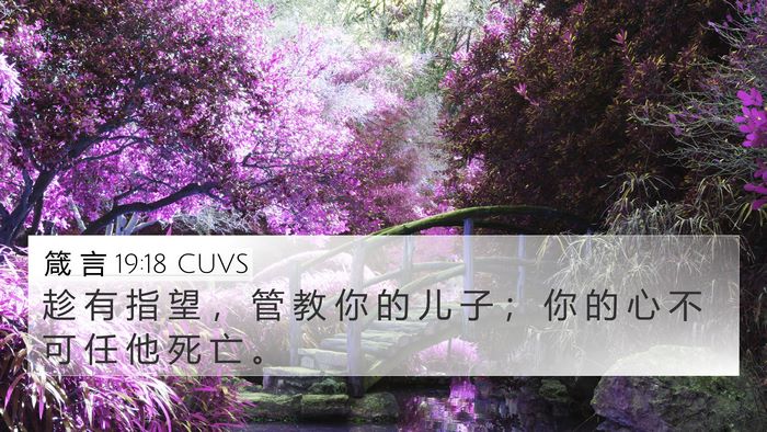 箴 言 19:18 CUVS 4K Wallpaper - 趁 有 指 望 ， 管 教 你 的 儿 子 ； - 4K Wallpaper Bible Verse