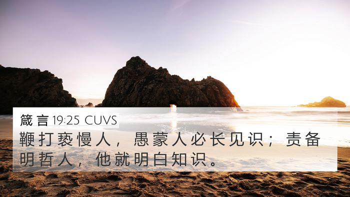 箴 言 19:25 CUVS 4K Wallpaper - 鞭 打 亵 慢 人 ， 愚 蒙 人 必 长 见 - 4K Wallpaper Bible Verse