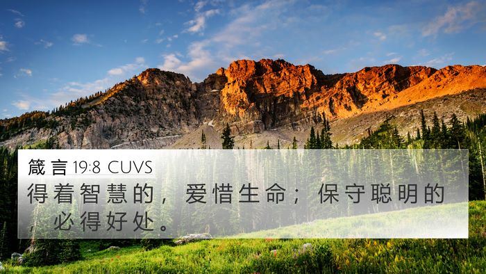 箴 言 19:8 CUVS 4K Wallpaper - 得 着 智 慧 的 ， 爱 惜 生 命 ； 保 - 4K Wallpaper Bible Verse