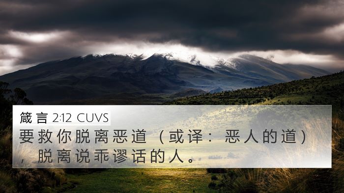 箴 言 2:12 CUVS 4K Wallpaper - 要 救 你 脱 离 恶 道 （ 或 译 ： 恶 - 4K Wallpaper Bible Verse