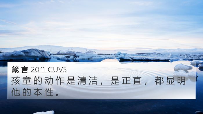 箴 言 20:11 CUVS Bible Verse Image