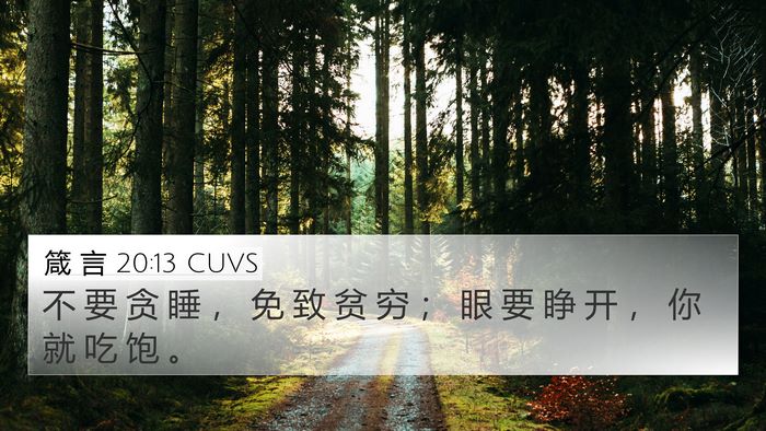 箴 言 20:13 CUVS Bible Verse Image