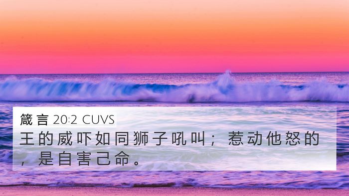 箴 言 20:2 CUVS Bible Verse Image